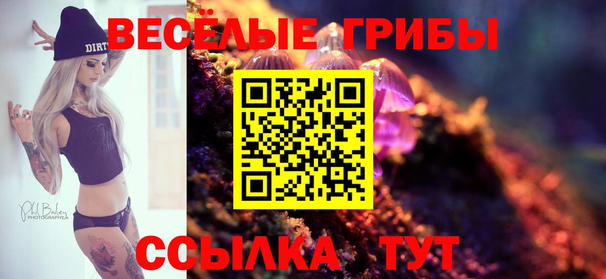 Галлюциногенные грибы GOLDEN TEACHER Краснокаменск